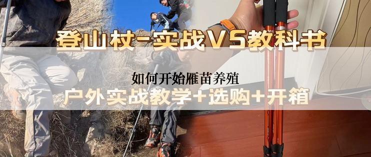 如何开始雁苗养殖