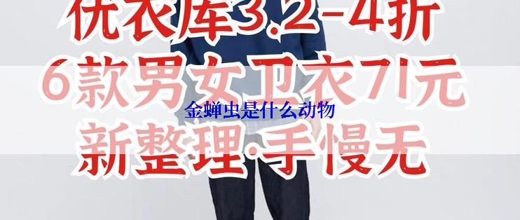 金蝉虫是什么动物