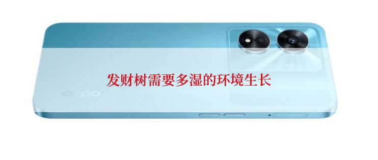 发财树需要多湿的环境生长