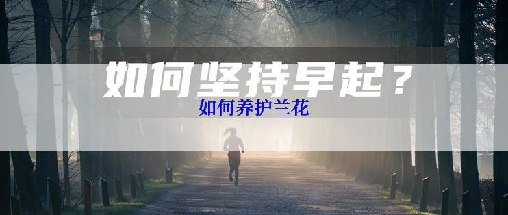 如何养护兰花
