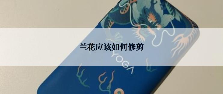 兰花应该如何修剪