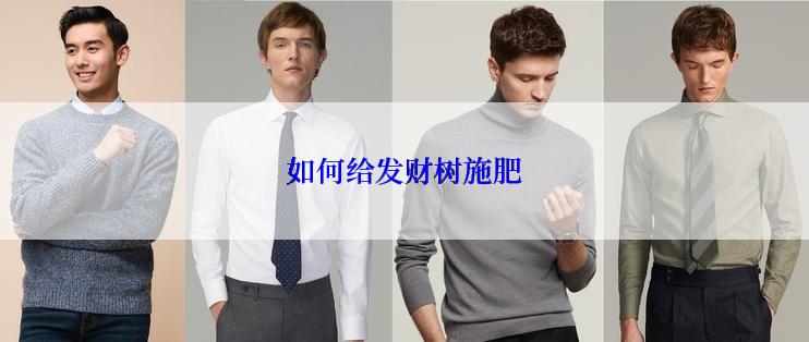 如何给发财树施肥