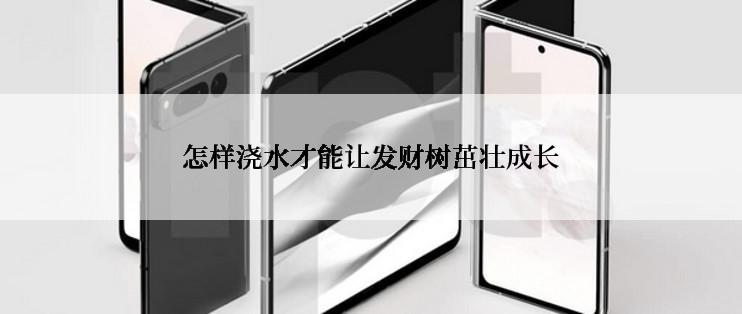 怎样浇水才能让发财树茁壮成长