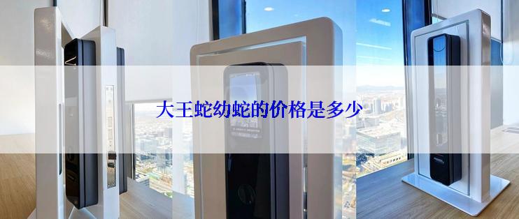 大王蛇幼蛇的价格是多少