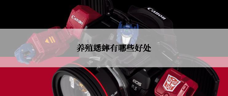 养殖蟋蟀有哪些好处