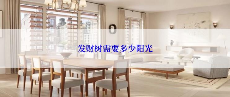发财树需要多少阳光