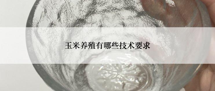 玉米养殖有哪些技术要求