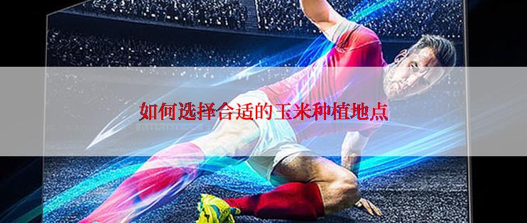 如何选择合适的玉米种植地点