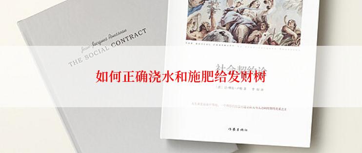 如何正确浇水和施肥给发财树