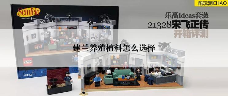 建兰养殖植料怎么选择