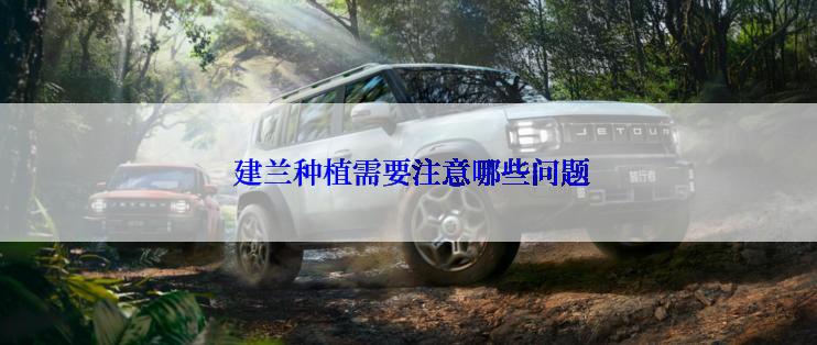  建兰种植需要注意哪些问题
