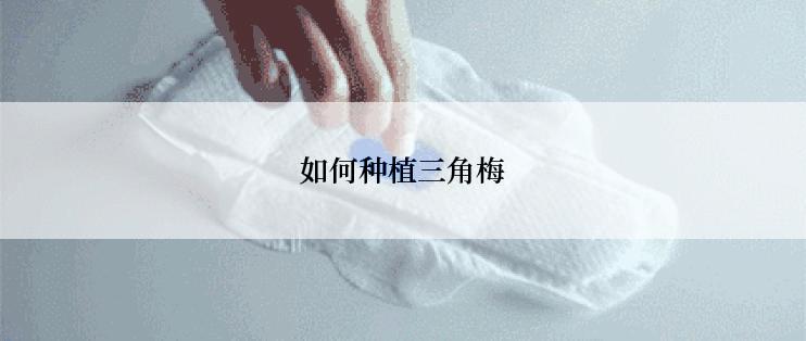 如何种植三角梅