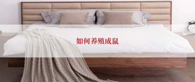 如何养殖成鼠