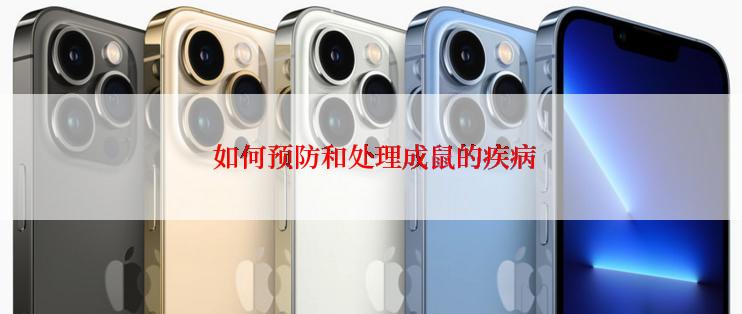  如何预防和处理成鼠的疾病