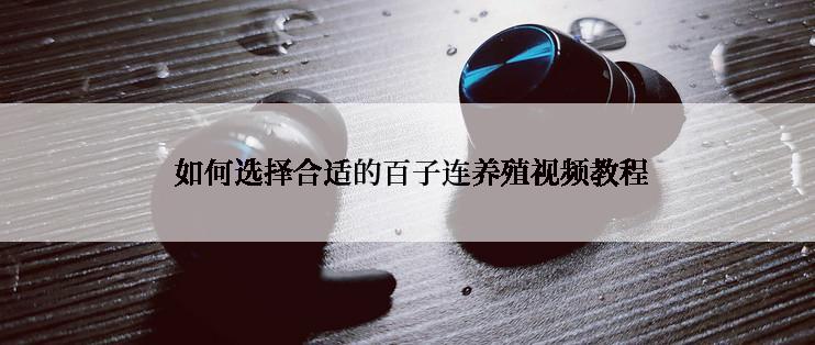  如何选择合适的百子连养殖视频教程