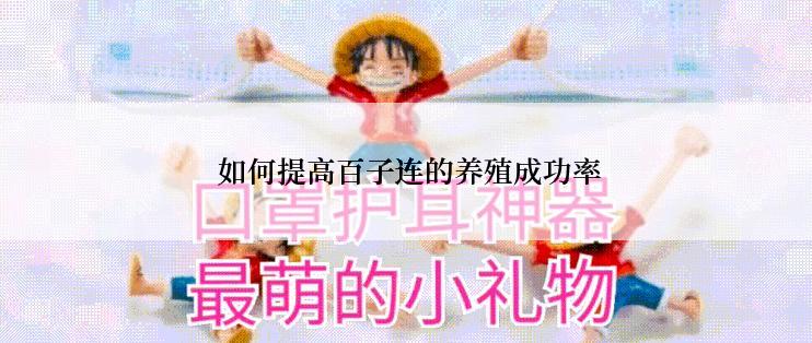  如何提高百子连的养殖成功率