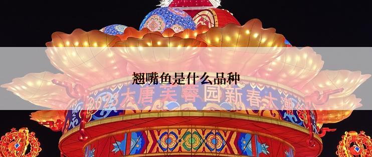 翘嘴鱼是什么品种