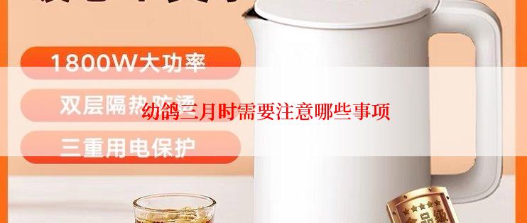  幼鸽三月时需要注意哪些事项