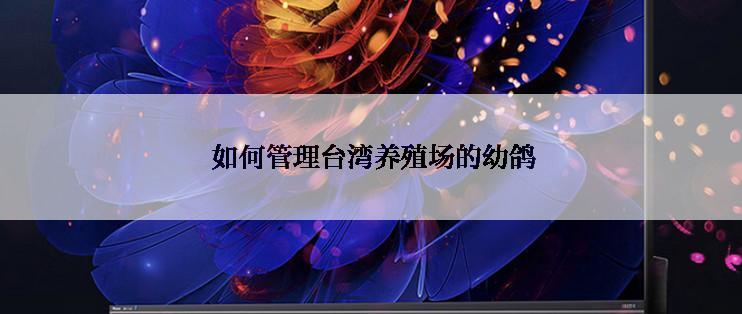  如何管理台湾养殖场的幼鸽