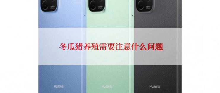  冬瓜猪养殖需要注意什么问题