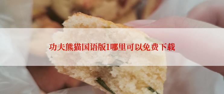 功夫熊猫国语版1哪里可以免费下载