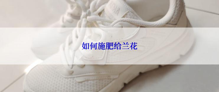 如何施肥给兰花