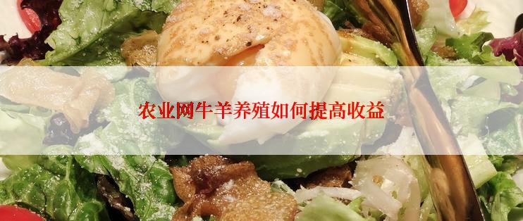 农业网牛羊养殖如何提高收益
