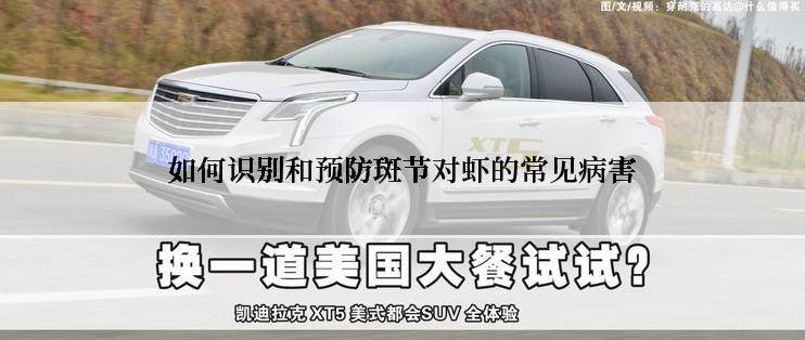 如何识别和预防斑节对虾的常见病害
