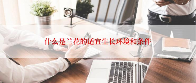 什么是兰花的适宜生长环境和条件