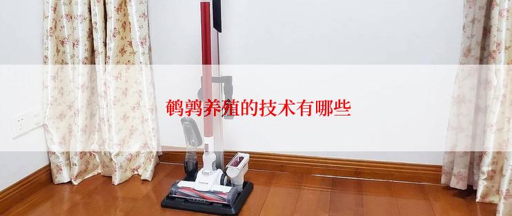  鹌鹑养殖的技术有哪些