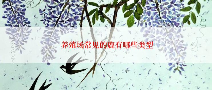  养殖场常见的鹿有哪些类型