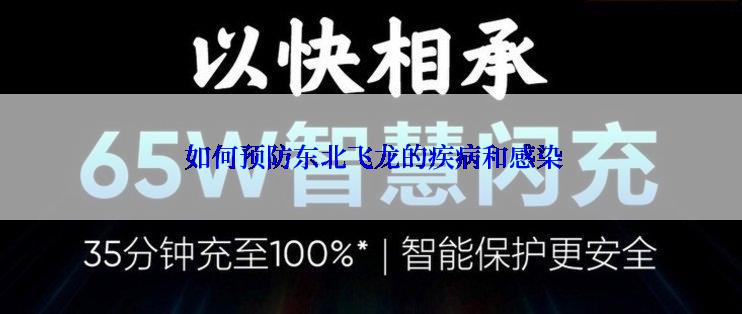  如何预防东北飞龙的疾病和感染