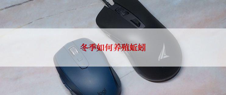 冬季如何养殖蚯蚓
