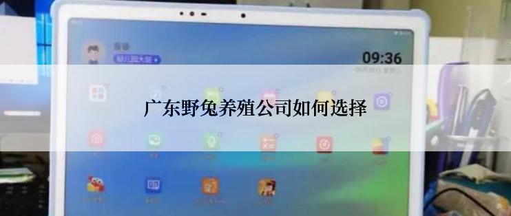 广东野兔养殖公司如何选择