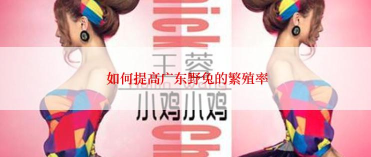  如何提高广东野兔的繁殖率