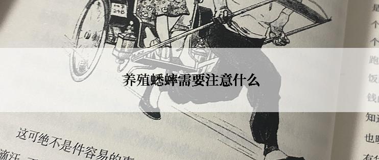  养殖蟋蟀需要注意什么
