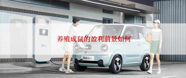  养殖成鼠的盈利前景如何