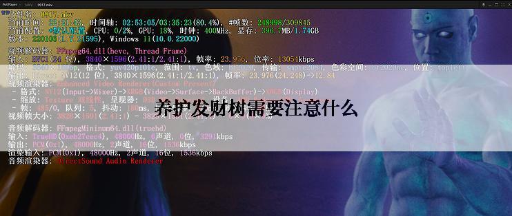 养护发财树需要注意什么