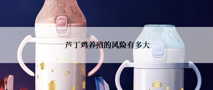  芦丁鸡养殖的风险有多大