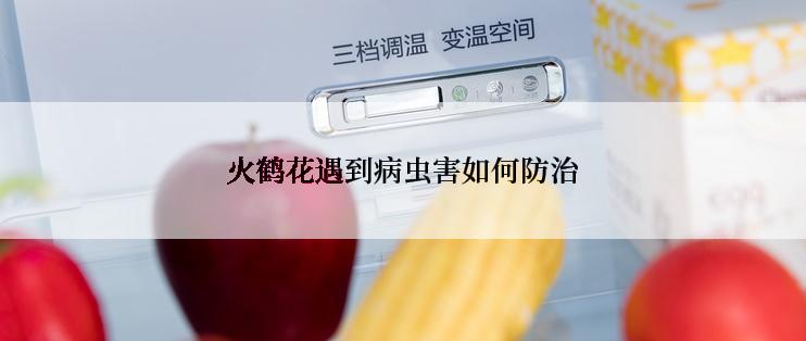 火鹤花遇到病虫害如何防治