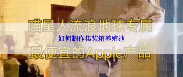 如何制作集装箱养殖池