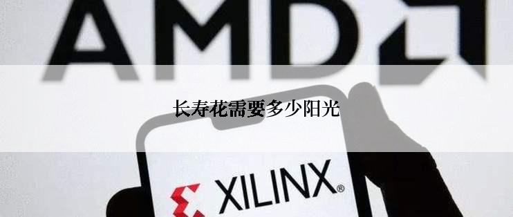 长寿花需要多少阳光