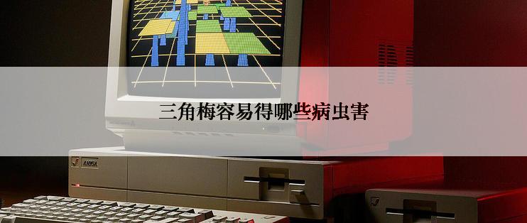 三角梅容易得哪些病虫害
