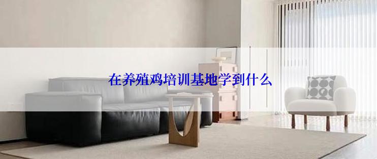  在养殖鸡培训基地学到什么