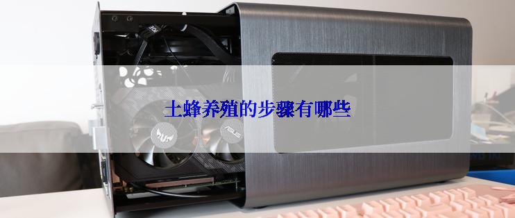 土蜂养殖的步骤有哪些