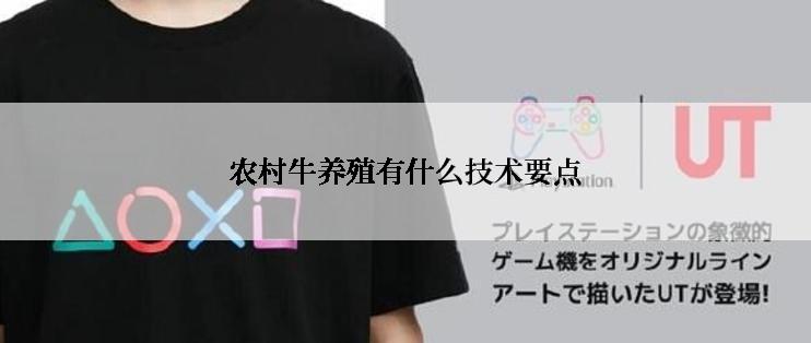 农村牛养殖有什么技术要点