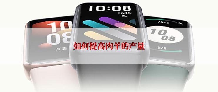 如何提高肉羊的产量