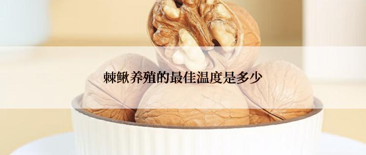 棘鳅养殖的最佳温度是多少