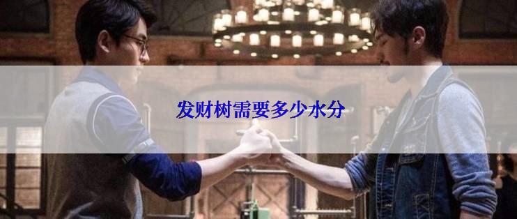 发财树需要多少水分