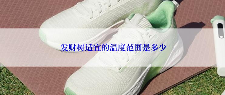  发财树适宜的温度范围是多少